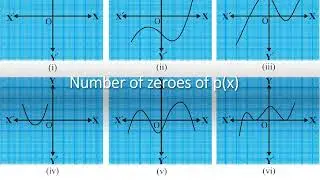The graphs of y = p(x) are given in Fig. below, for some polynomial #polynomials #cbseclass10maths
