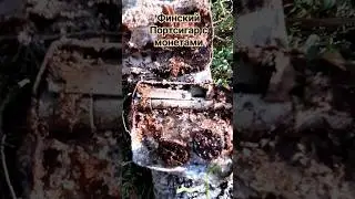 Монеты в Финском портсигаре #карелия #приборныйпоиск #история
