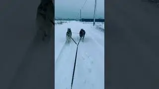Утро начинается не с кофе ☕️