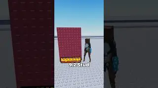 WORLD RECORD 🏆 WALL GLITCH 