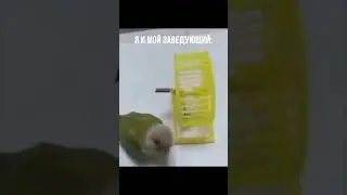 Поехали! 🚀