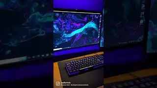 Reels setup gamer