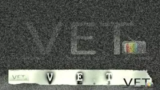 V.E.T - Puntata 17