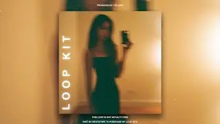(FREE) RNB Loop Kit - "WASTED LOVE" | RNB Sample Pack (Summer Walker, 6lack, The Weeknd, SZA)