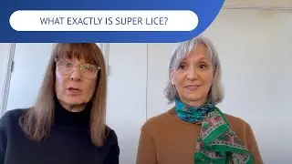 What Exactly Is Super Lice? | LiceDoctors