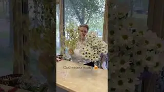 Мне нравится 😻 #ромашки #флористика #цветы #букетхризантем