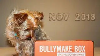 Bullymake November 2018 Subscription Box Unboxing