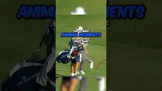 Top 13 Best Animal Moments in Pro Golf | Part 1