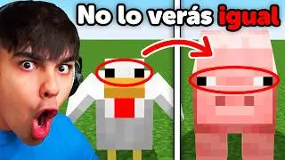 Invisible Curiosities of Minecraft that You Didn't Know