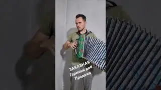 Заказная Гармонь до #баян #music #accordion #топ #гитара #cover #musica #folk #баян