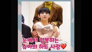 [세븐틴/조슈아]양봉업자 조슈아