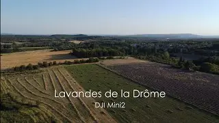 DJI Mini2 - Lavandes de la Drome 2024