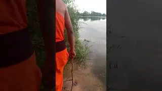 Scary Jungle Tour | ដំណើរកម្សាន្តព្រៃ