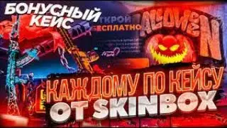 SKINBOX Бонусный ТОП кейс. Обман? Инвестировал в скинбокс!промик DMG13
