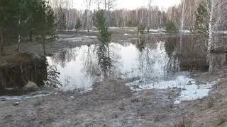Весна пришла слишком быстро