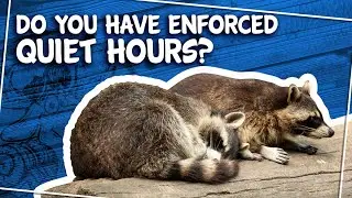 Do You Have Enforced Quiet Hours?
