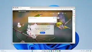 How to Fix Bing Search Not Working in Microsoft Edge on Windows 11