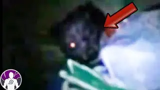 4 Strangest Creatures Caught on Camera Part 2