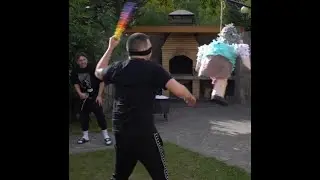 ШОК! СТРЕЙ ИЗБИЛ БАБУШКУ ! | БУДКА 2