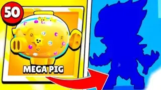 PACK OPENING DE LA MEGA PIG