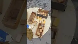 Блошинные будни в Воронеже 