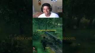 Como NO Talar Árboles