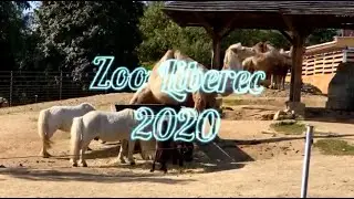 rychlá návštěva Zoo Liberec 2020