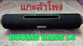 แกะลำโพง Booms Bass L6