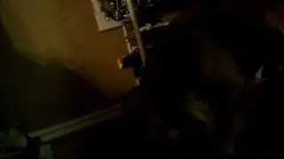 my cute chiauhuahua.wmv