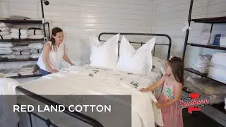 Show 1017A Red Land Cotton