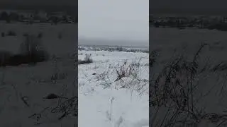 19 декабря 2021 г.