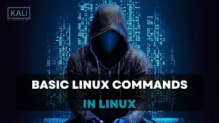 Basic Linux commands in Linux