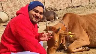 Uttar Pradesh politics 2023