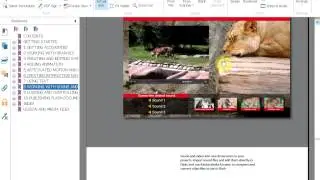adobe flash professional cs6 classroom in a book and lessons files
