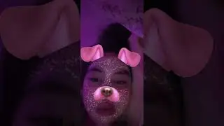 Live Despita