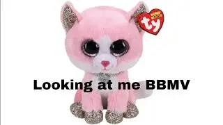 Looking at me Beanie Boo Music Video!