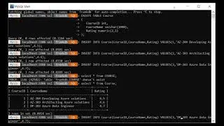 Building a .NET application that connects to a containerized MySQL Server database