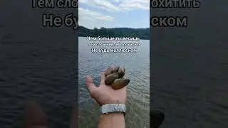 Безопасность превыше всего
