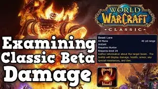 Classic WoW Beta Damage Values Compared to Private Servers