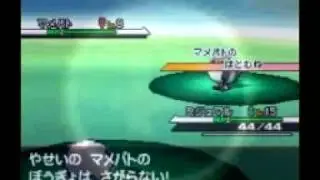 Pokemon Black and White - Daisuki Club Previews