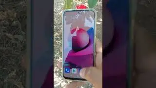 Redmi not 10s Camera Tist