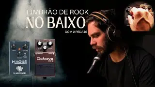 Pedais OCTAVE e RAT para Baixos mais pesados #heavy #bass #pedalboard