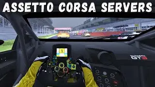 This is What Happens Every Time in Assetto Corsa Servers