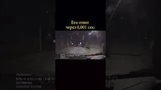 Лучшие друзья