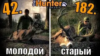 Белохвостые Олени, Молодой Против Старого. The Hunter Classic