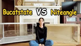 Niteangel Bigger World Hamster Cage Review | Niteangel VS Bucatstate