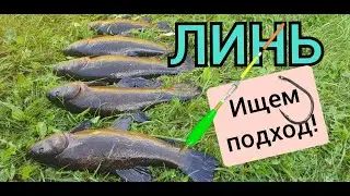 Линь 2022 Ищем подход