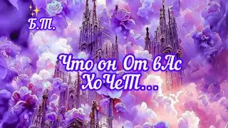 ✅ЧтО оН От вАс ХоЧеТ/#НейроКорекТоР/#ЭкзоПсихология/#востребованость/🧩👇