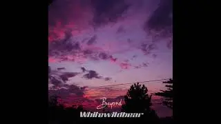 Whitewildbear - Beyond
