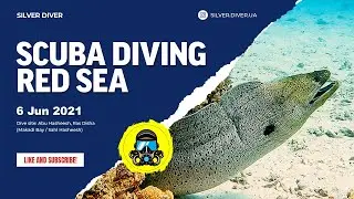 🇪🇬 Egypt: Diving in Red Sea - Abu Hashish, Ras Disha